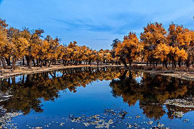 SCS 2025赛事热血启动！百万奖金争夺5月开战